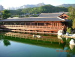 DSCN9875