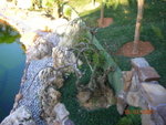 DSCN9879