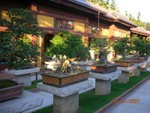 DSCN9891