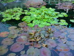 DSCN9902