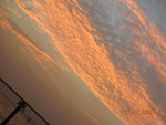 DSCN9950