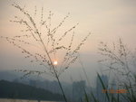 DSCN0046