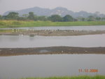 DSCN8614