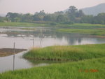 DSCN8615