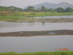 DSCN8616