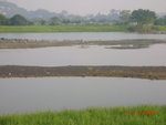 DSCN8617