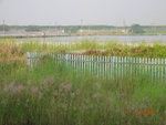 DSCN8633