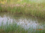 DSCN8636