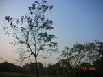 DSCN8638