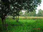 DSCN8639