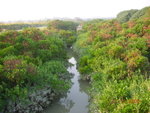DSCN8640