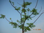 DSCN8648