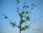 DSCN8649