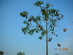 DSCN8656