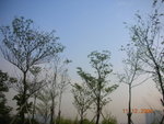 DSCN8664