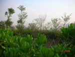 DSCN8667