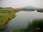 DSCN8680