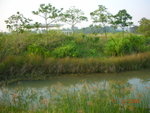 DSCN8681