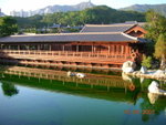 DSCN9878