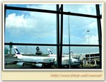 �X�o�e�b�����X�{�m�iDSC_5981
