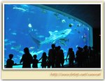 �H�TDSC_6494