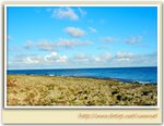 �̫n�I���yDSC_6080