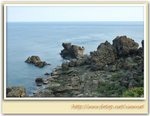 �߻��YDSC_6588