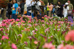 _DSC5404
