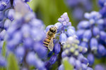 _DSC5190
