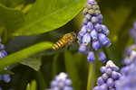 _DSC5195