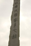 _DSC5649