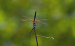 _DSC6563s
