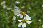 _DSC6648s