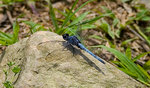 _DSC6664s