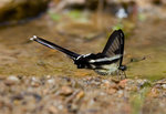 _DSC6818s