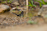 _DSC6822s