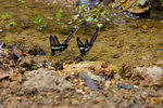 _DSC6895s