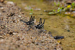 _DSC6948s