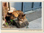 DSC_3037re