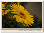DSC_3529re