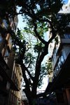 DSC_0037