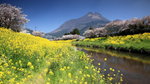 Kyushu_35