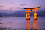 MIYAJIMA_018
