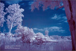 IMG_0269a_IR_s
