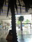 DSC05505