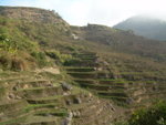 DSCN0128