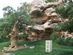 PICT0029