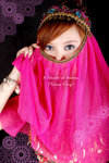Arabian_R01