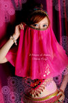 Arabian_R03