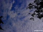 PICT201301